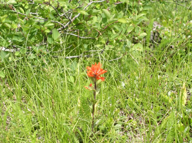 6.10.06 Table Mtn_3CR 125 